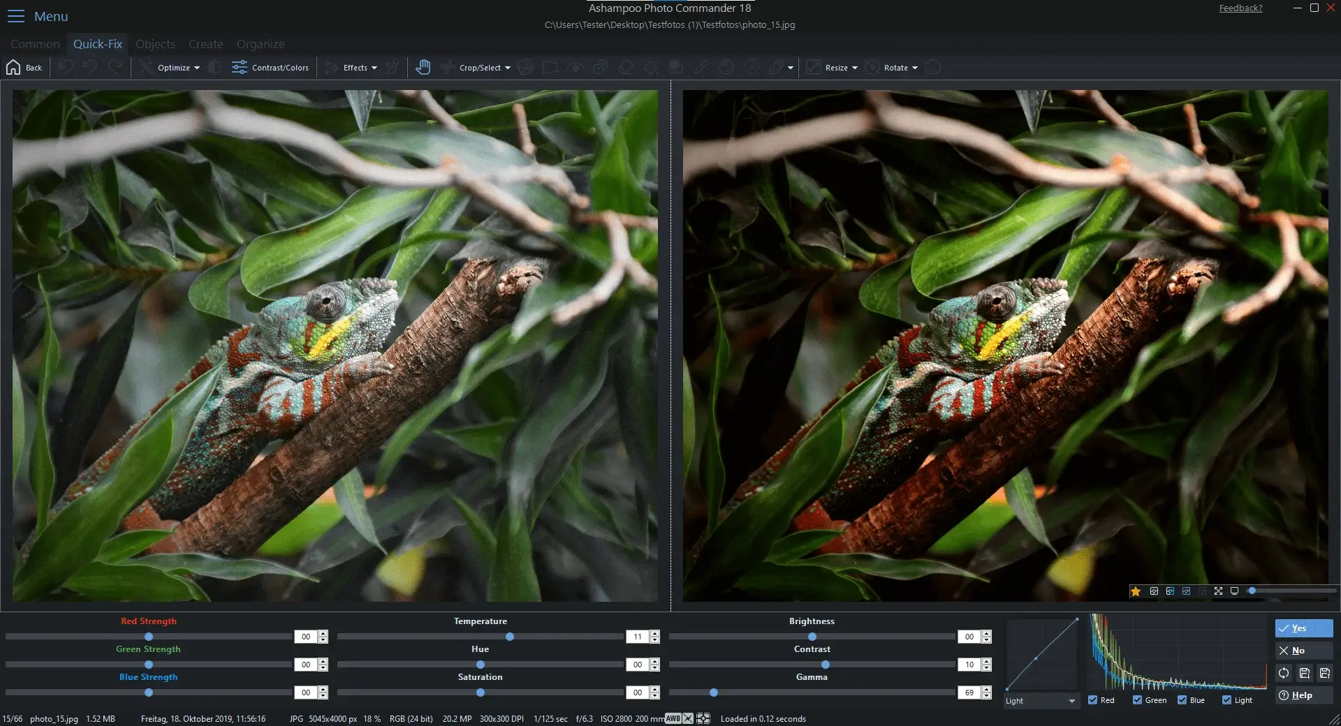 Colorful chameleon among green leaves on a branch.