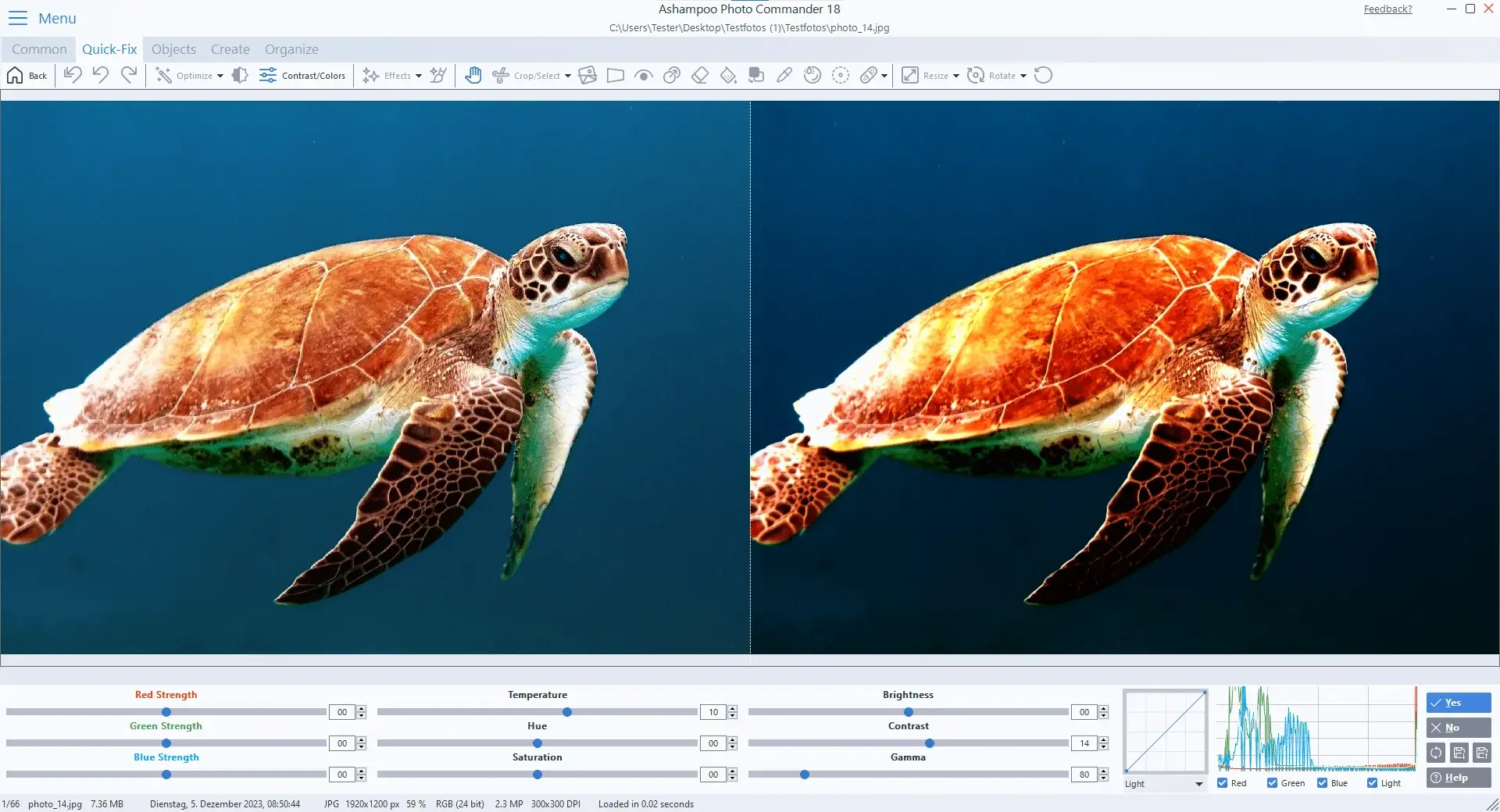 Photo editing software comparing sea turtle images