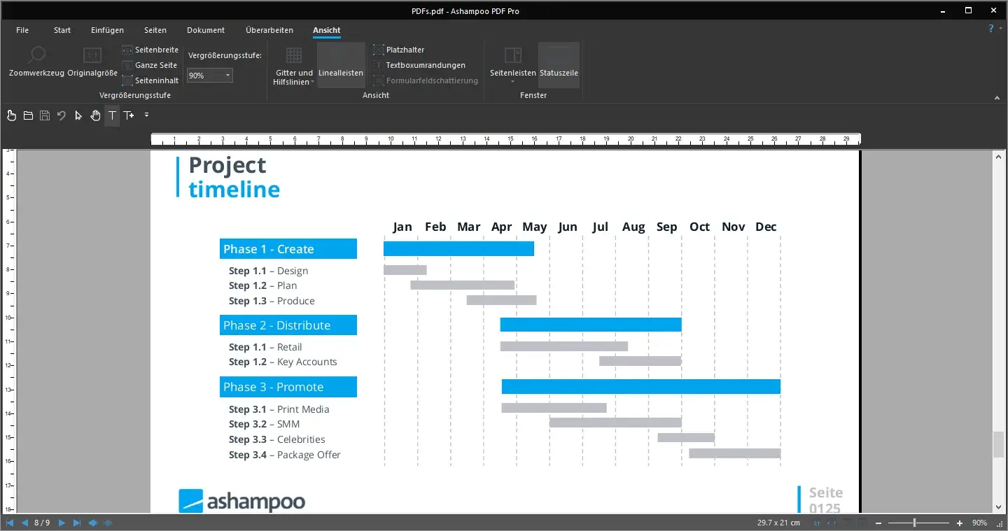 Project timeline chart with phases and steps.