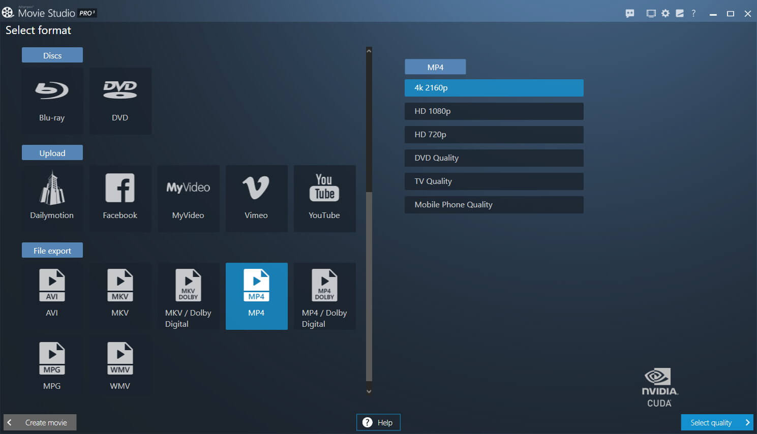 Screenshot of video format selection software interface.