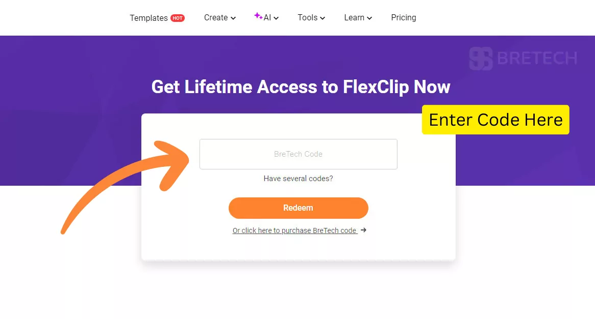 Enter BreTech code for FlexClip lifetime access