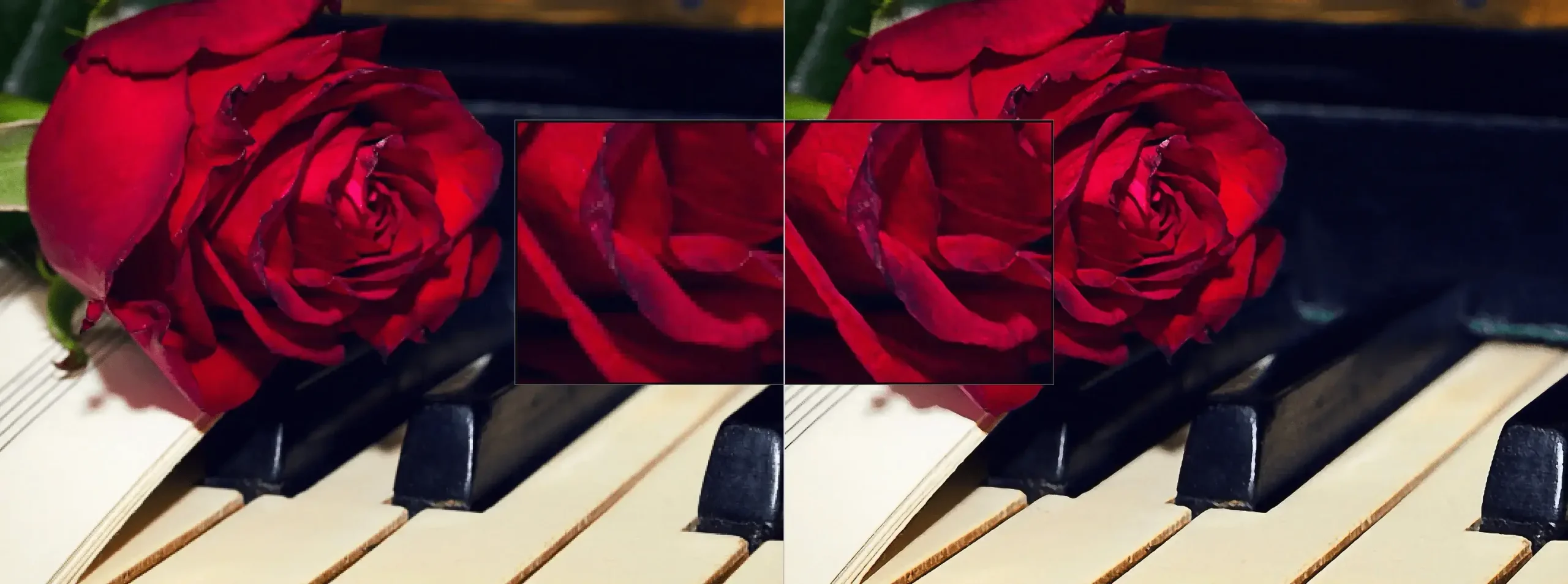 Red rose on piano keys with sheet music