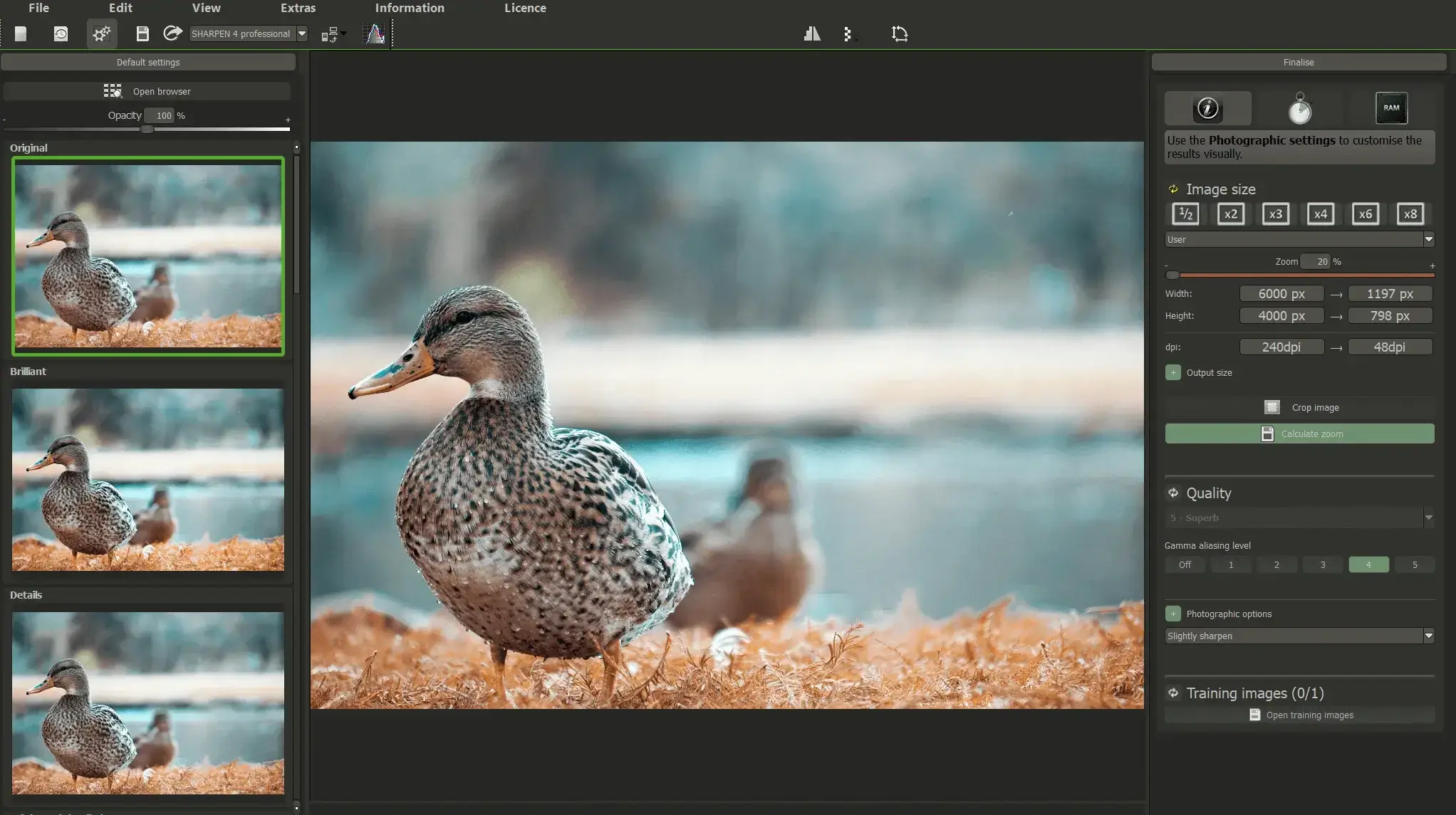 Photo editing software enhances duck image clarity