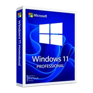 Windows 11 Professional retail software box
